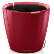 Classico LS 43 - Rojo - LECHUZA